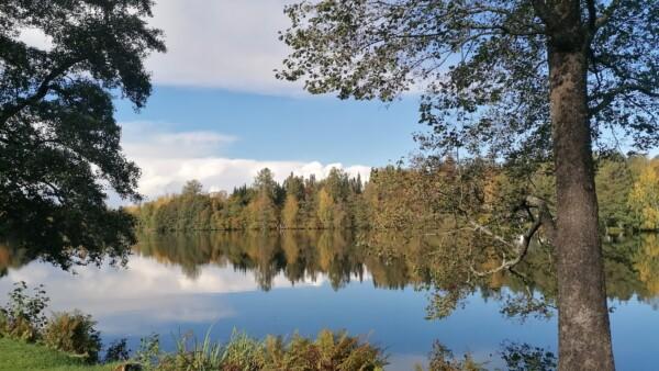 Ukkijärven ranta Kangasala kuva Päivi Harkko