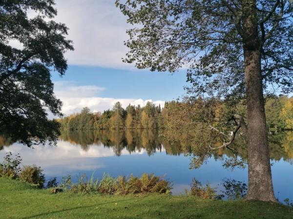 Ukkijärven ranta Kangasala kuva Päivi Harkko