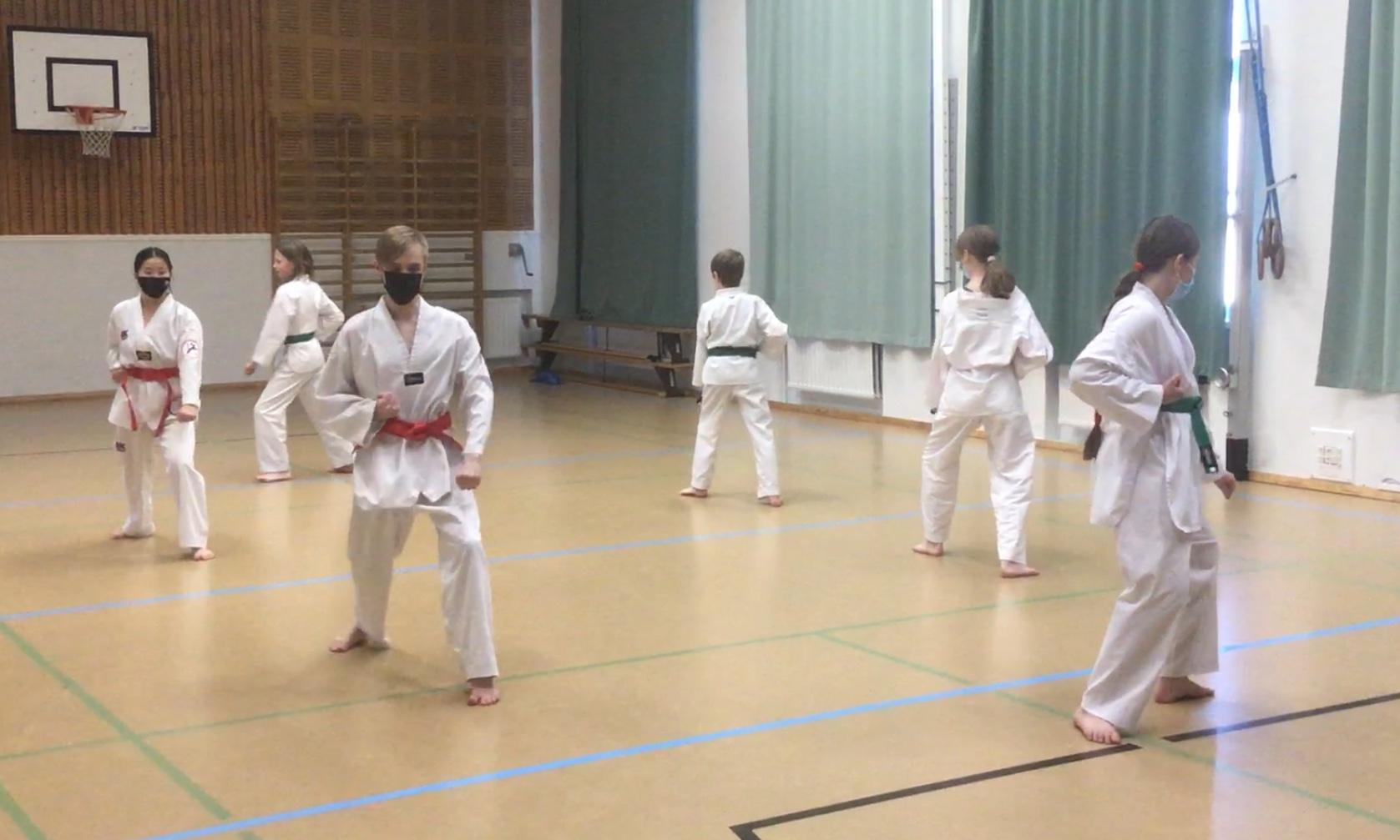 Länkyn Taekwondon näytöstiimi harjoittelelee esitystä helmikuussa.