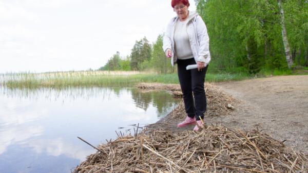 Huutijärven uimarantaa vapaaehtoistyönä siistivä Paula Ristimäki oli viime...