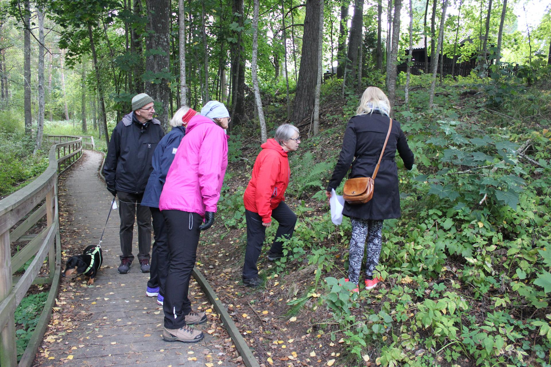 Kävelijäjoukko tarkastelee Kuohunlahden kasvillisuutta Katri Tolosen johdolla.
