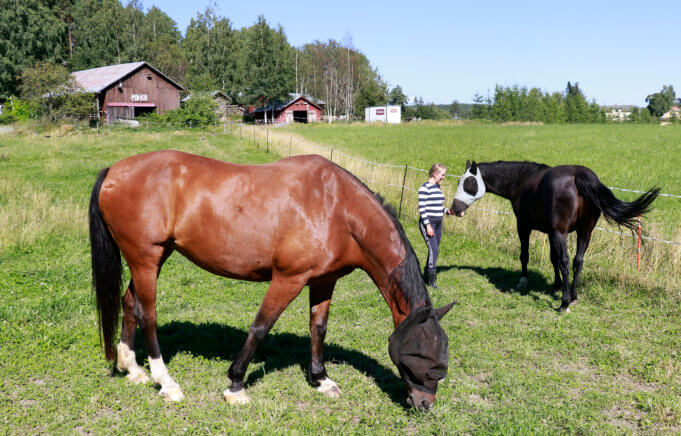 Lunan ja Rion seura sopii myös sellaisille, jotka haluavat lieventää hevospelkoaan turvallisessa ympäristössä. Tua Onnelan yrityksen palveluihin kuuluvat myös metsään suuntautuvat lenkit, joiden aikana asiakas pääsee taluttamaan hevosta.