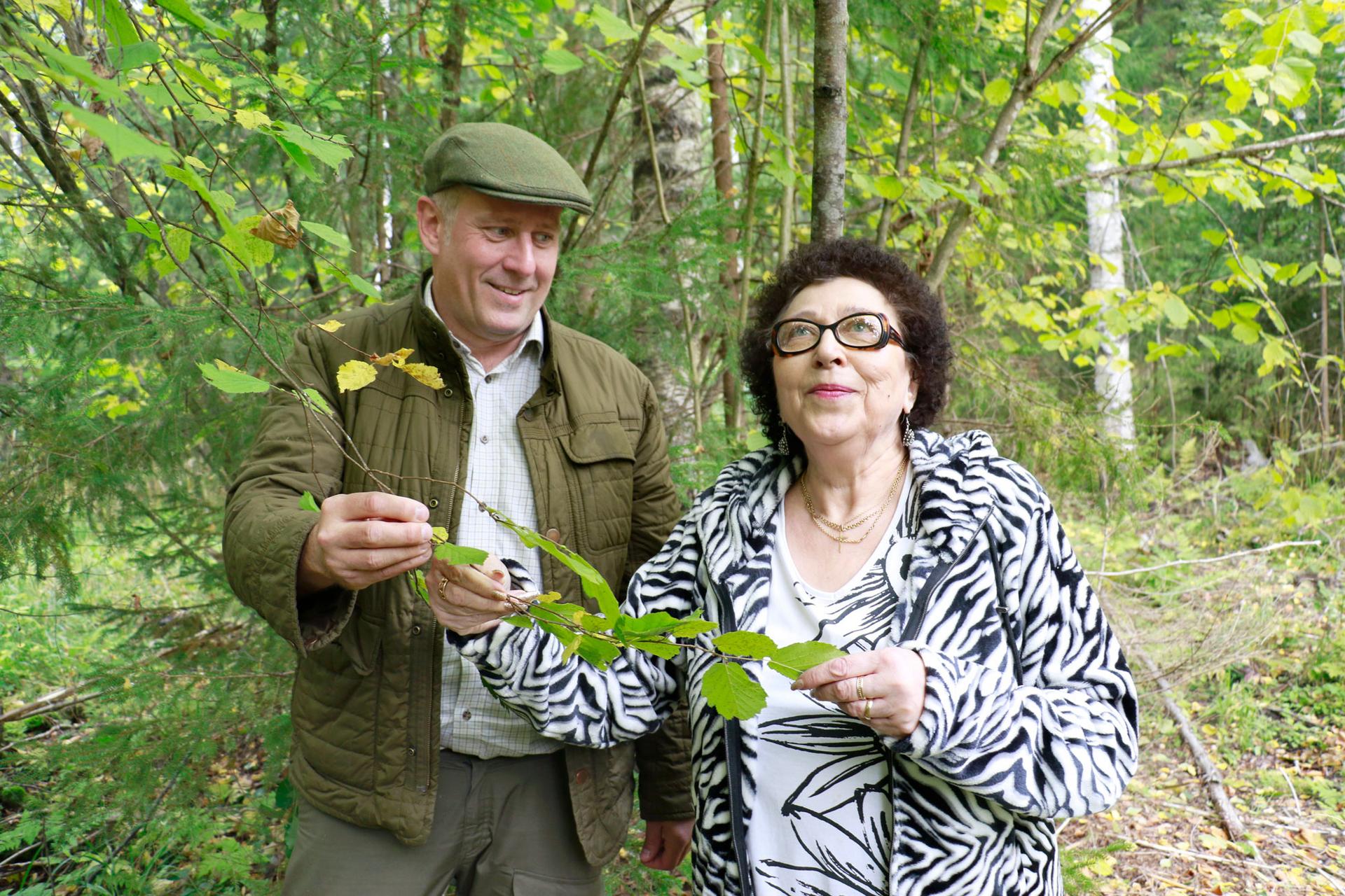 Iiris Vaasio-Saarisen ja Markus Jaskarin omistama pähkinäpensaslehto on nyt yksityinen luonnonsuojelualue. Suurin osa pensaista on vielä pienikokoisia, mutta alueelta löytyy useampiakin täysikasvuisia yksilöitä.