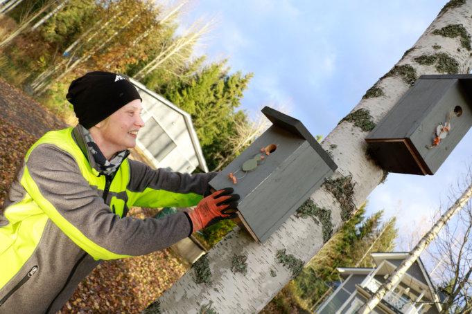 Katri Virtanen rakentelee linnunpönttöjä myös myyntiin. Kuva: Eija Koivu